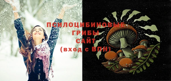 сатива Алексеевка