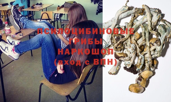 сатива Алексеевка