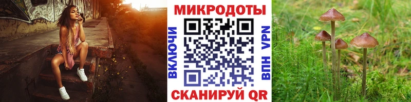Галлюциногенные грибы Psilocybine cubensis закладки Андреаполь